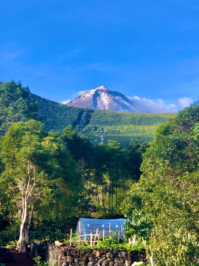 Quinta Pereirinha Farm - A Private 3 Bedroom Vacation Home, Close To Hiking W Ocean Views - Pico Island, Azores São Roque do Pico Exteriör bild