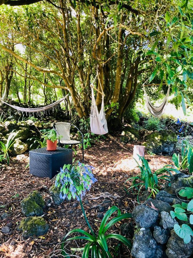 Quinta Pereirinha Farm - A Private 3 Bedroom Vacation Home, Close To Hiking W Ocean Views - Pico Island, Azores São Roque do Pico Exteriör bild